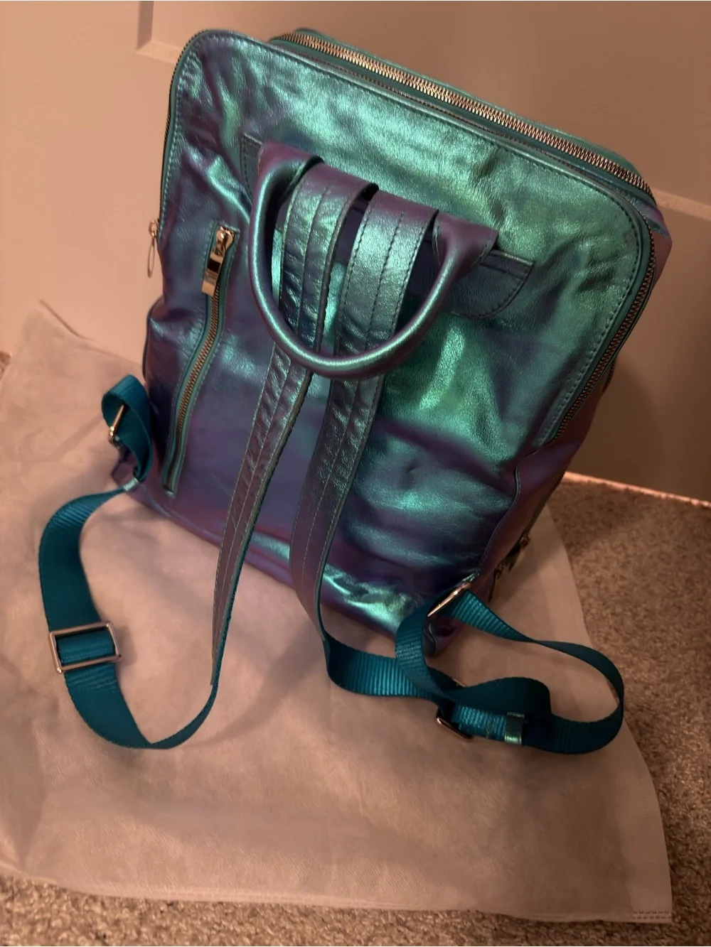 House Of Flynn Color Shifting Camera Backpack